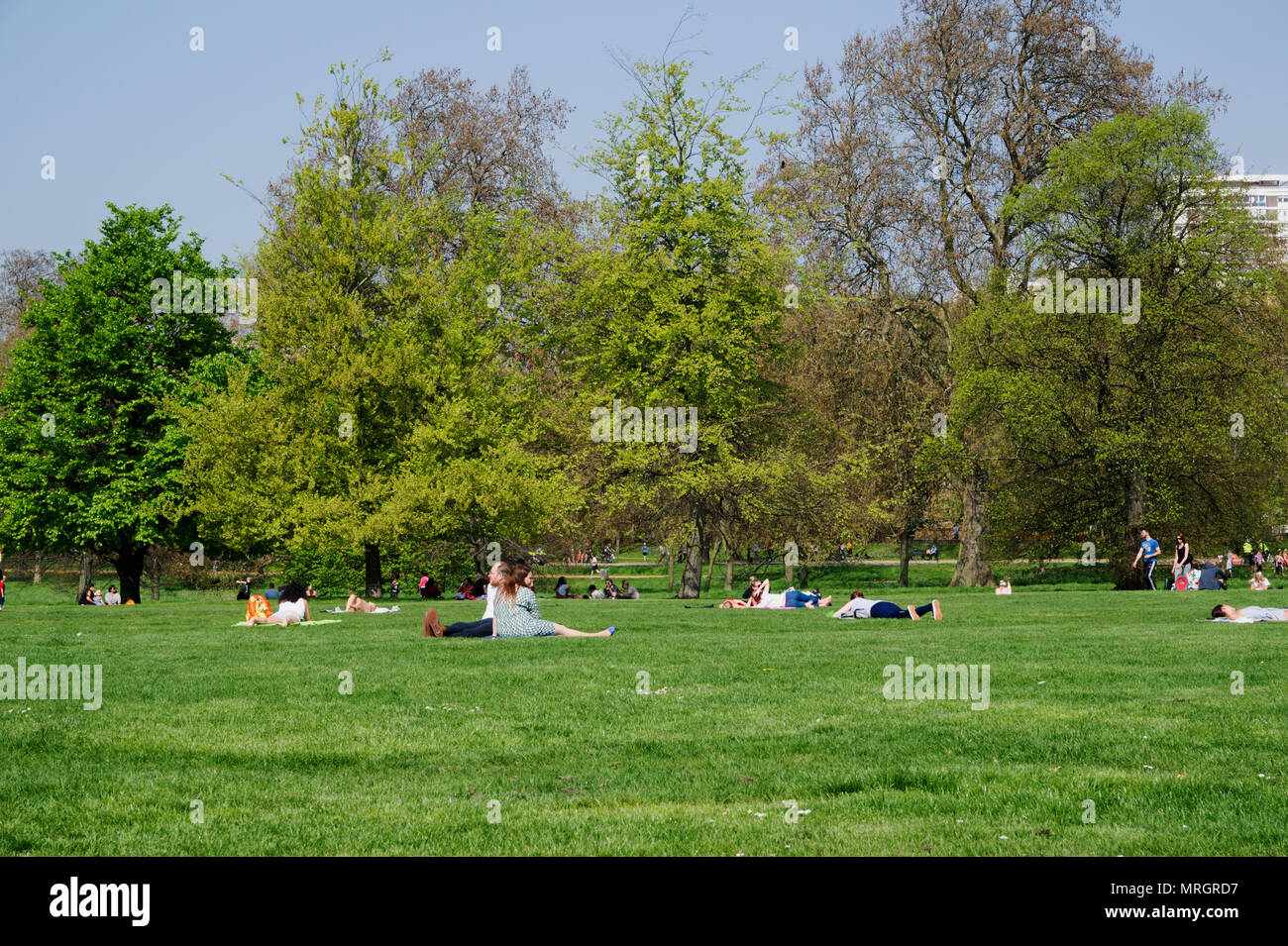 People enjoying sun in Hyde Park London England Stock Photo