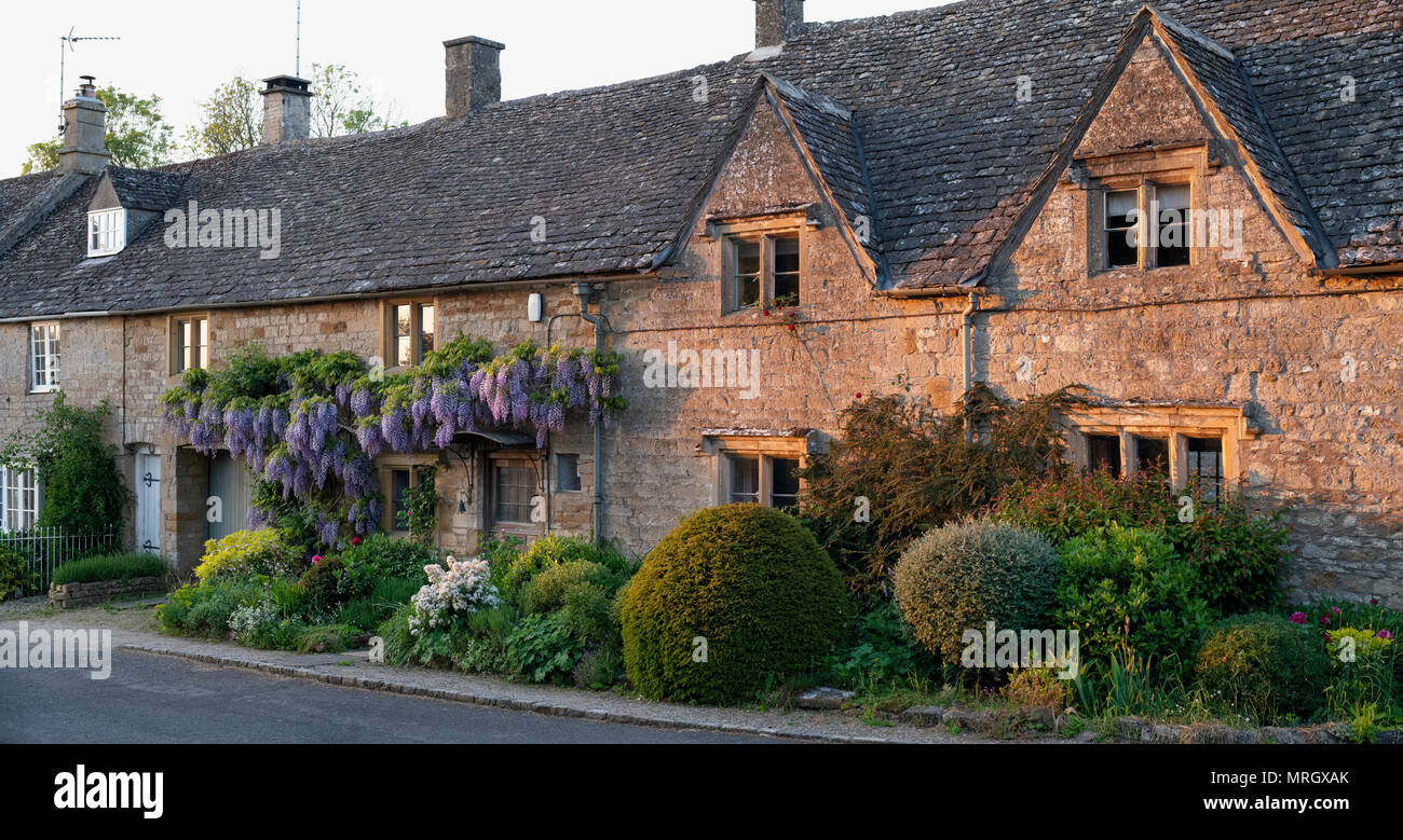 Evening sunlight on a row of cottages in the village of Bledington, Cotswolds, Gloucestershire, England Stock Photo
