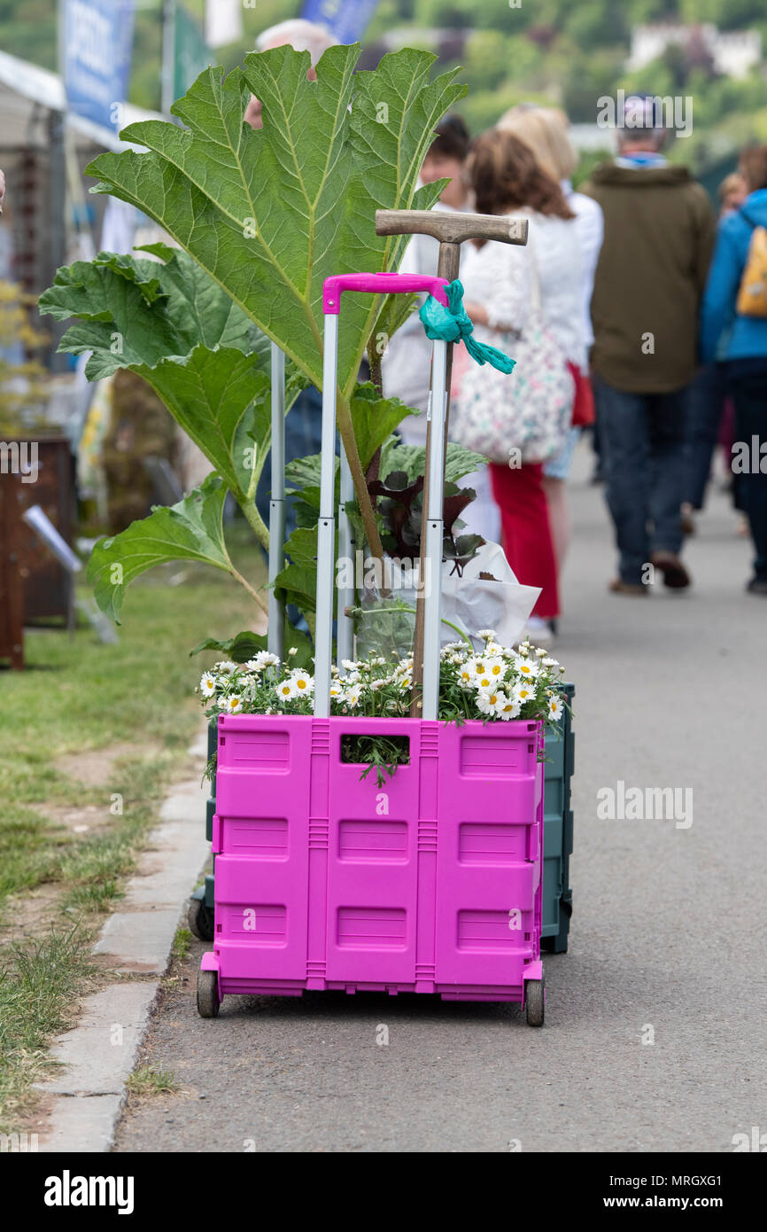 Gardeners trolley full of bought plants at a flower show. England Stock Photo
