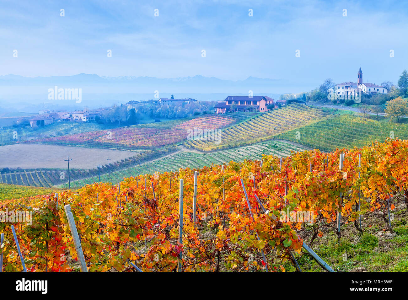 Treiso and its vineyards hi-res stock photography and images - Alamy
