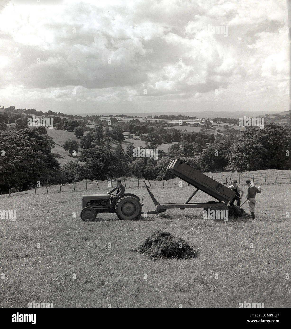 1950s, historical view of farming in the Cotswolds, Gloucestershire, England, UK, a male farmer on his tractor with farm workers unloading animal fodder or feed onto the grass field from the trailer. Stock Photo