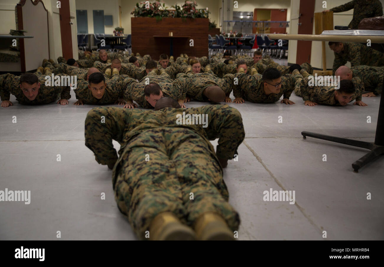 1st Sgt. Derrick Benbow, senior enlisted advisor of 3rd Law Enforcement Battalion, III Marine Headquarters Group, III Marine Expeditionary Force, alongside Marines and Corpsmen conduct pushups during the 119th Hospital Corpsman Birthday at Camp Mujuk, Pohang, Republic of Korea, June 17, 2017. Marines from Bravo Company, 3rd LE Bn, III MHG, III MEF and Corpsmen with 3rd Medical Battalion, 3rd Marine Logistics Group, III MEF came together to celebrate the birthday with a ceremonial cake cutting and birthday message reading from 3rd LE Bn senior enlisted advisor. (U.S. Marine Corps photo by Lance Stock Photo