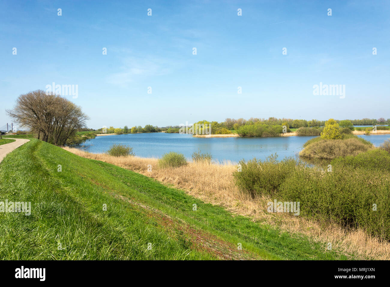 Uiterwaarden of the river Waal in the neighbourhood of Zaltbommel, the ...