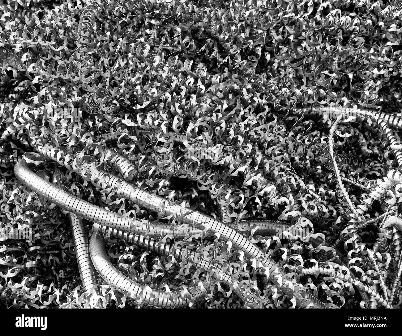 Close up black and white rusty scrap metal shavings as texture backgroumd, shallow DOF Stock Photo