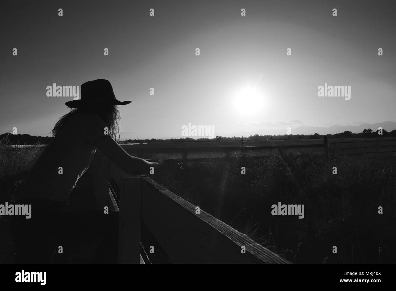 Cowboy Sunset Stock Photo