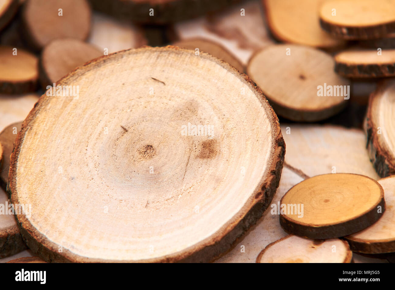 Wood Cross Section Tree Rings Cut Slice Brown Stump Stock Photo