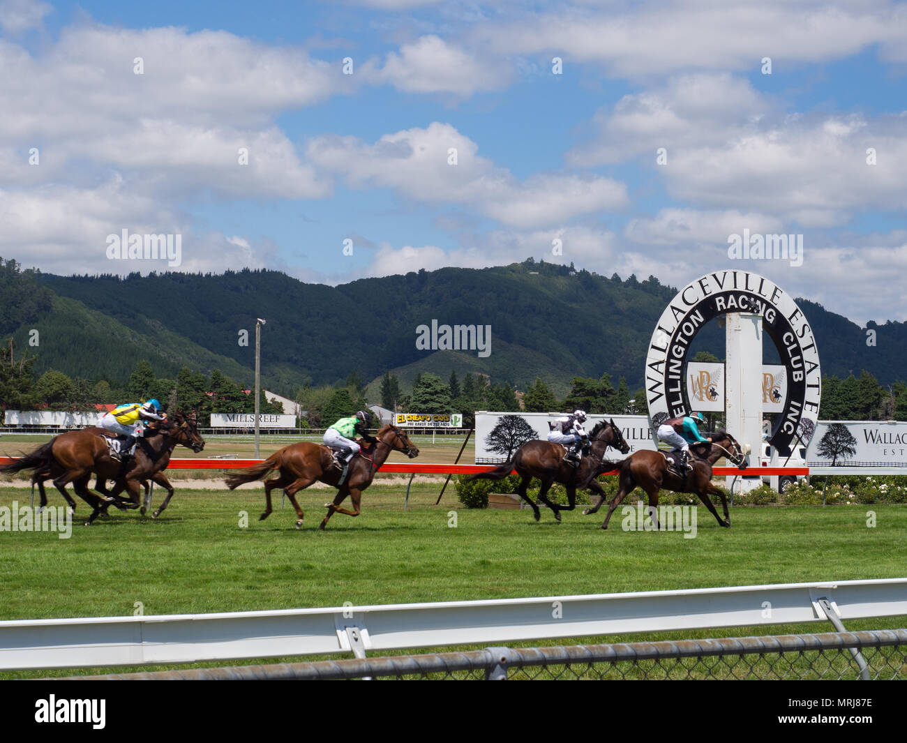 Horse racing finish line hires stock photography and images Alamy