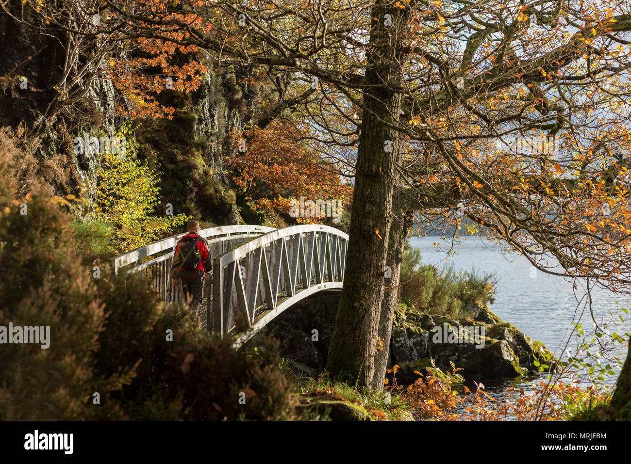 A walker crosses a man made metal bridge along a public footpath around the edge of Loch Loman, Scotland on a sunny autumn day. Stock Photo