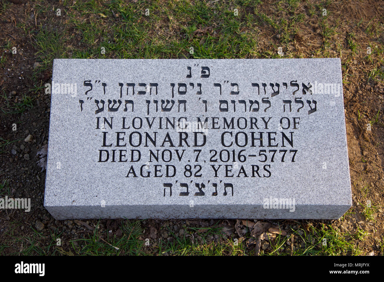 Leonard Cohen tombstone in Mont Royal cemetery Montreal Quebec Canada Stock Photo