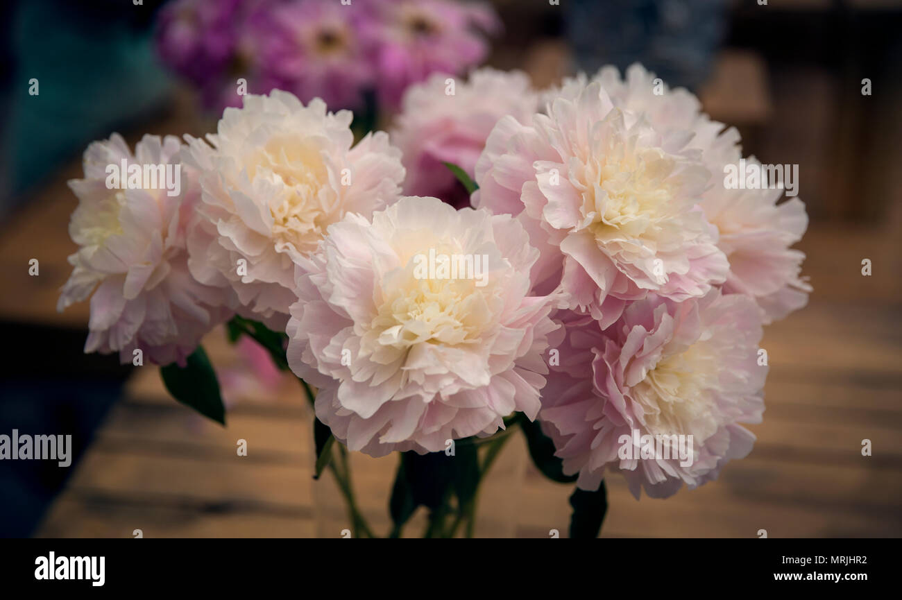 Beautiful bouquet of peony flowers Stock Photo