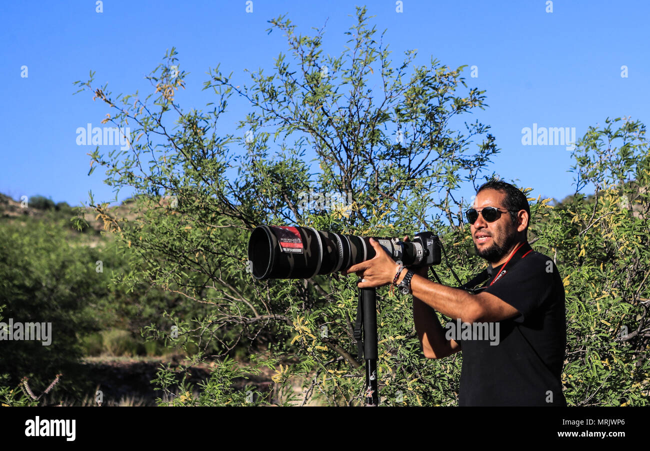 Photographer Ruben Dario Betancourt uses a 500mm Canon F4 lens and sunglasses, in the Cuenca los Ojos reserve. Natural reserve,. Sunset, Sun,sunset Stock Photo
