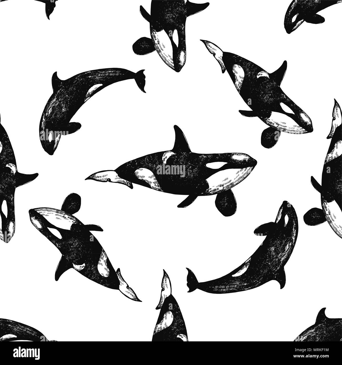 Seamless pattern of hand drawn sketch style killer whales isolated on ...