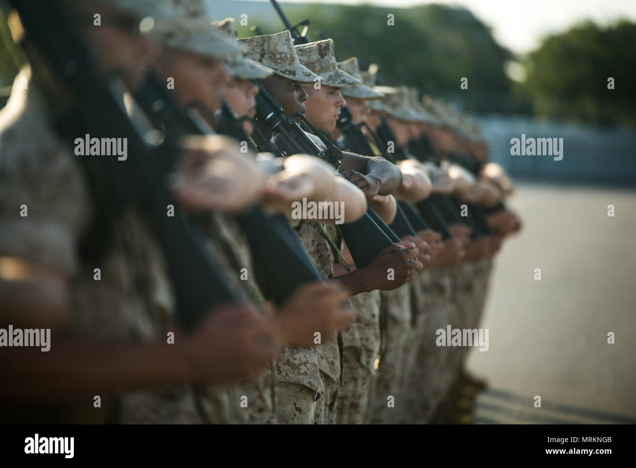 Experts on the marine corps drill and ceremonies manual hires stock