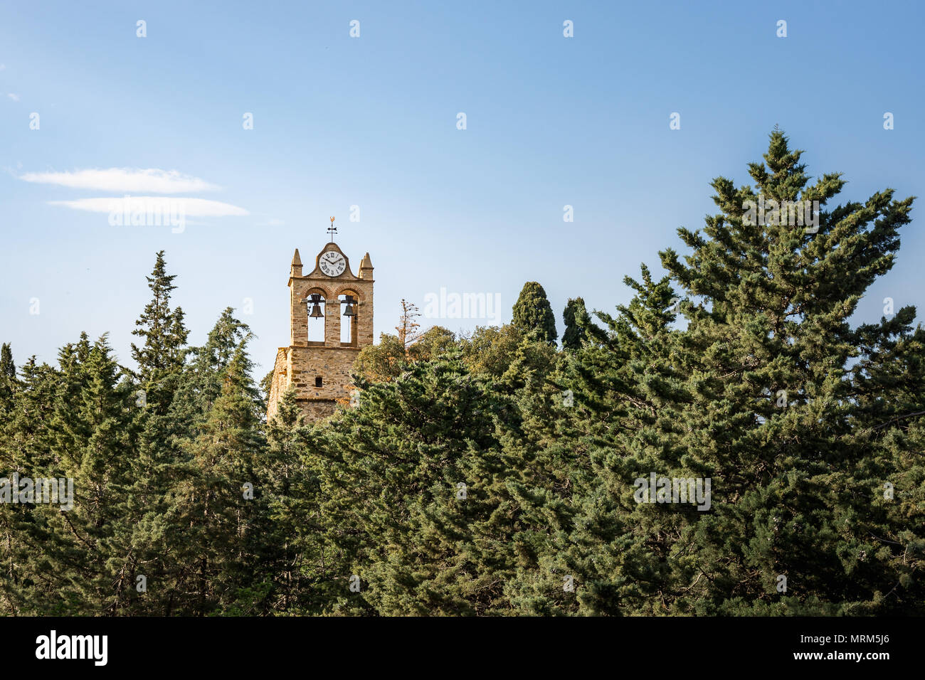 Church tower rising above a forest of pines Stock Photo