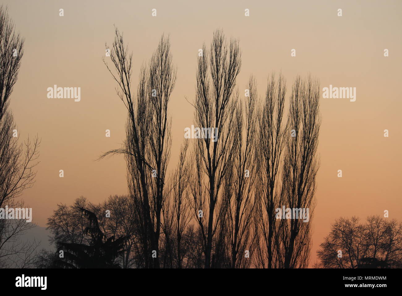 amateur photography md Amateur photography md