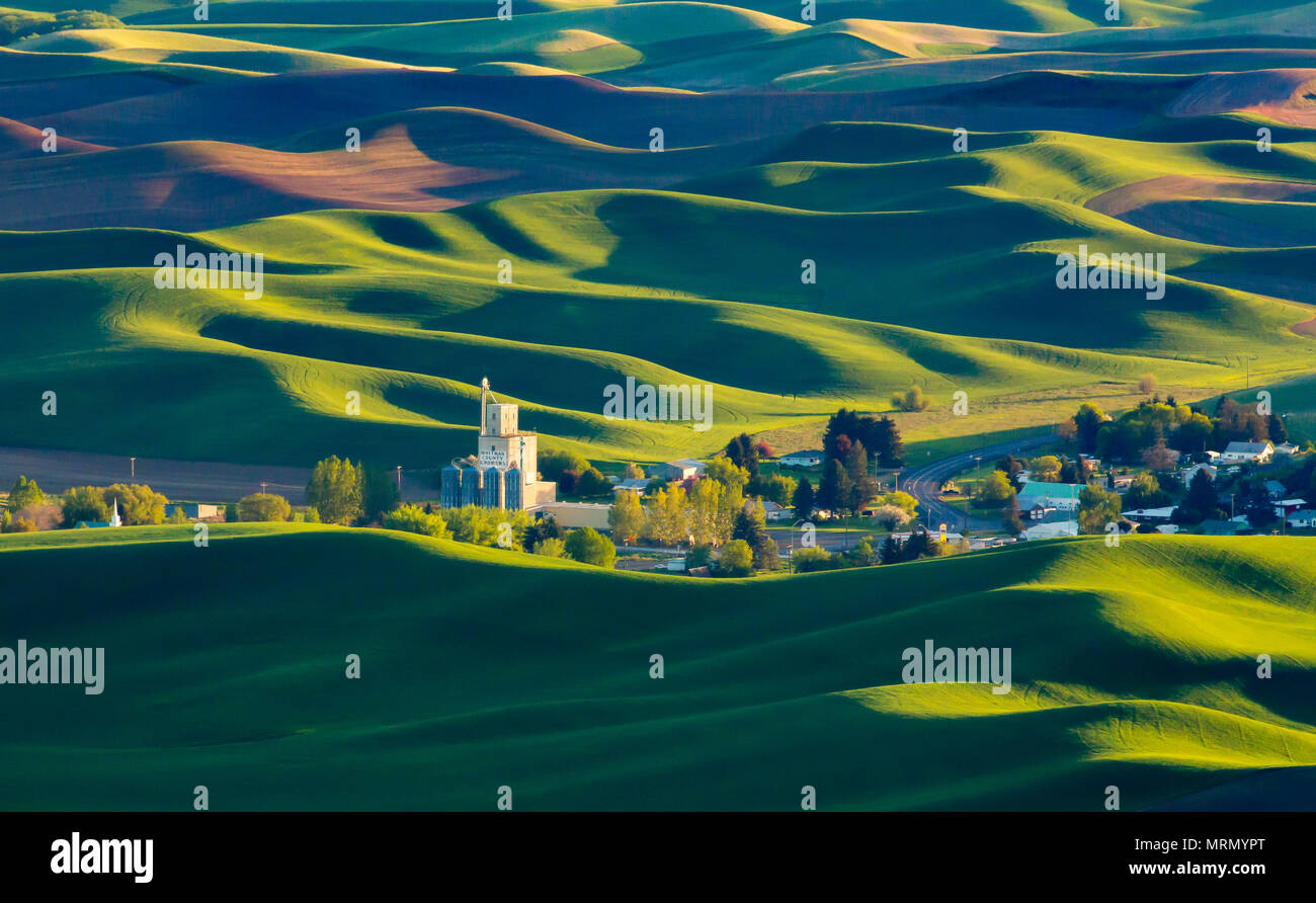 Rolling Hills and town from Steptoe Butte, Palouse Stock Photo