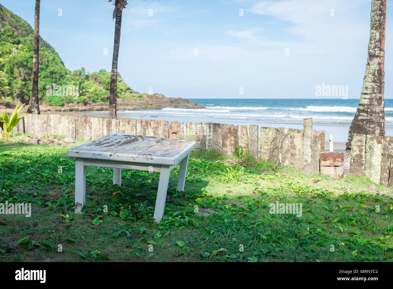 Table by a palm tree trunk wood fence in rainforest beach Stock Photo Alamy