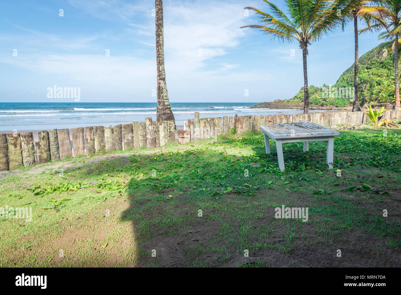 Table by a palm tree trunk wood fence in rainforest beach Stock Photo Alamy