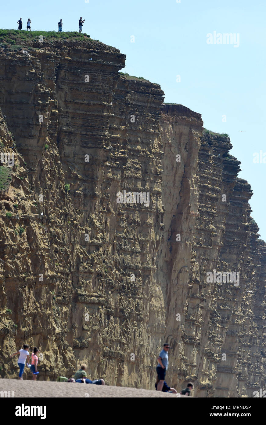 Tourists risk their lives East Cliff at West Bay, Dorset, UK Credit: Finnbarr Webster/Alamy Live News Stock Photo