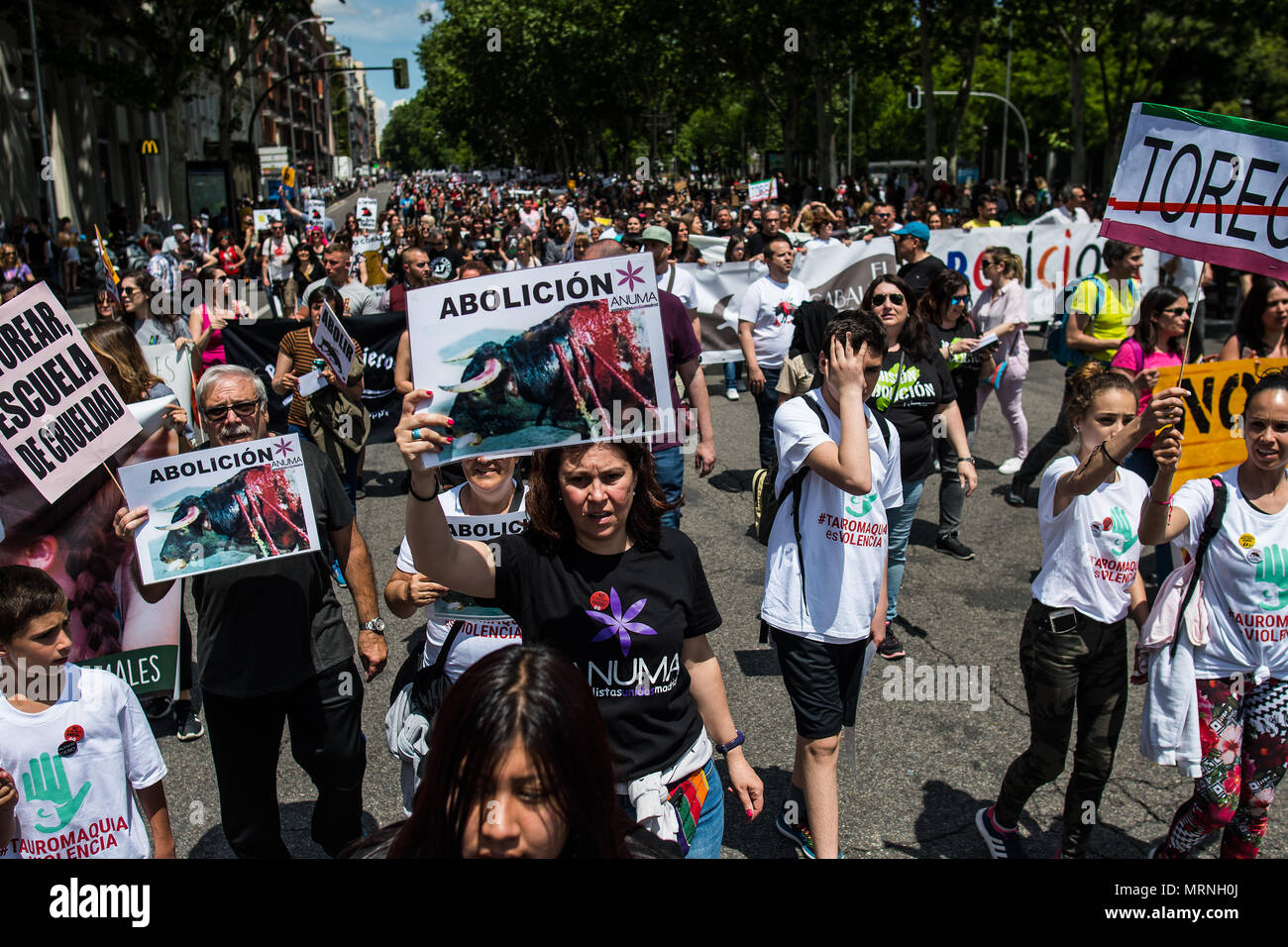 Madrid, Spain. 27th May, 2018. Anti-bullfighting protesters during a demonstration under the slogan 'Bullfighting is Violence' demanding to abolish bullfighting and animal suffering, in Madrid, Spain. Credit: Marcos del Mazo/Alamy Live News Stock Photo