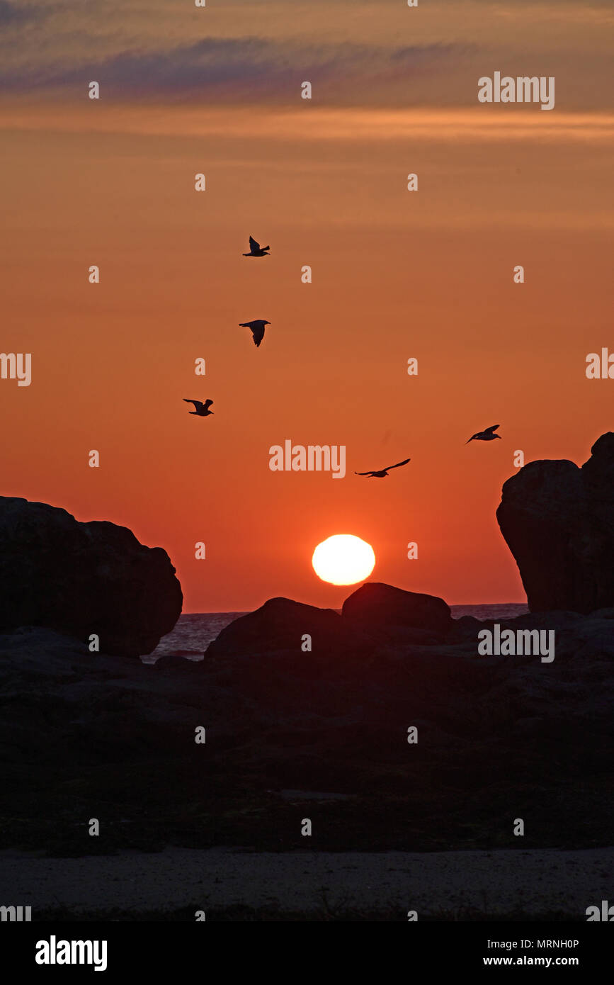 St Andrews, Scotland, United Kingdom, 27, May, 2018. The sun rises in St Andrews on May bank holiday Sunday, © Ken Jack / Alamy Live News Stock Photo
