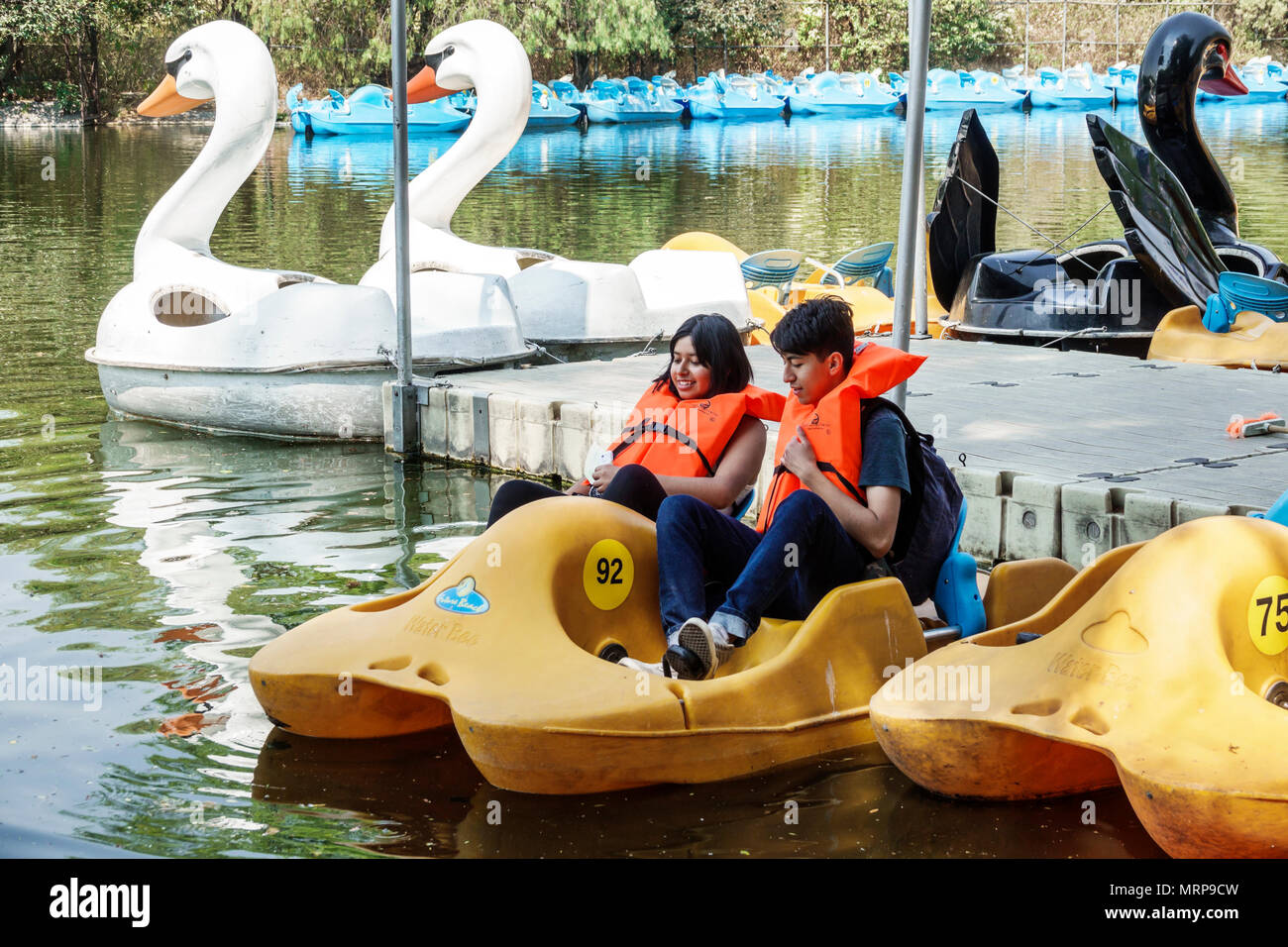 Mexico City,Polanco,Hispanic ethnic Bosque de Chapultepec forest park parque,lake,paddleboat,pedal boat,rental dock,boy boys,male kid kids child child Stock Photo