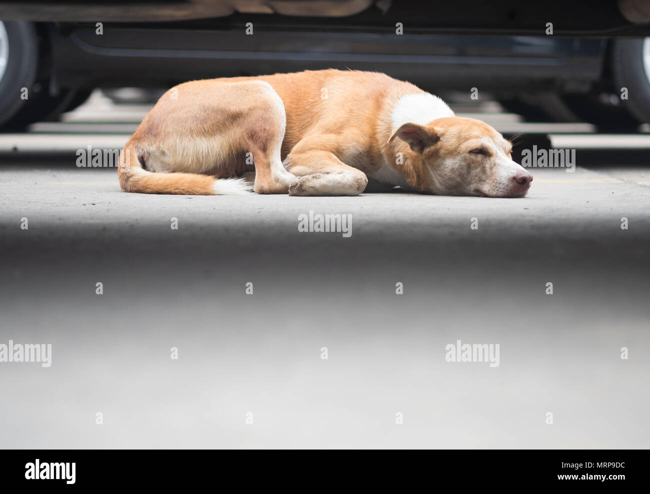 Concrete recess hires stock photography and images Alamy