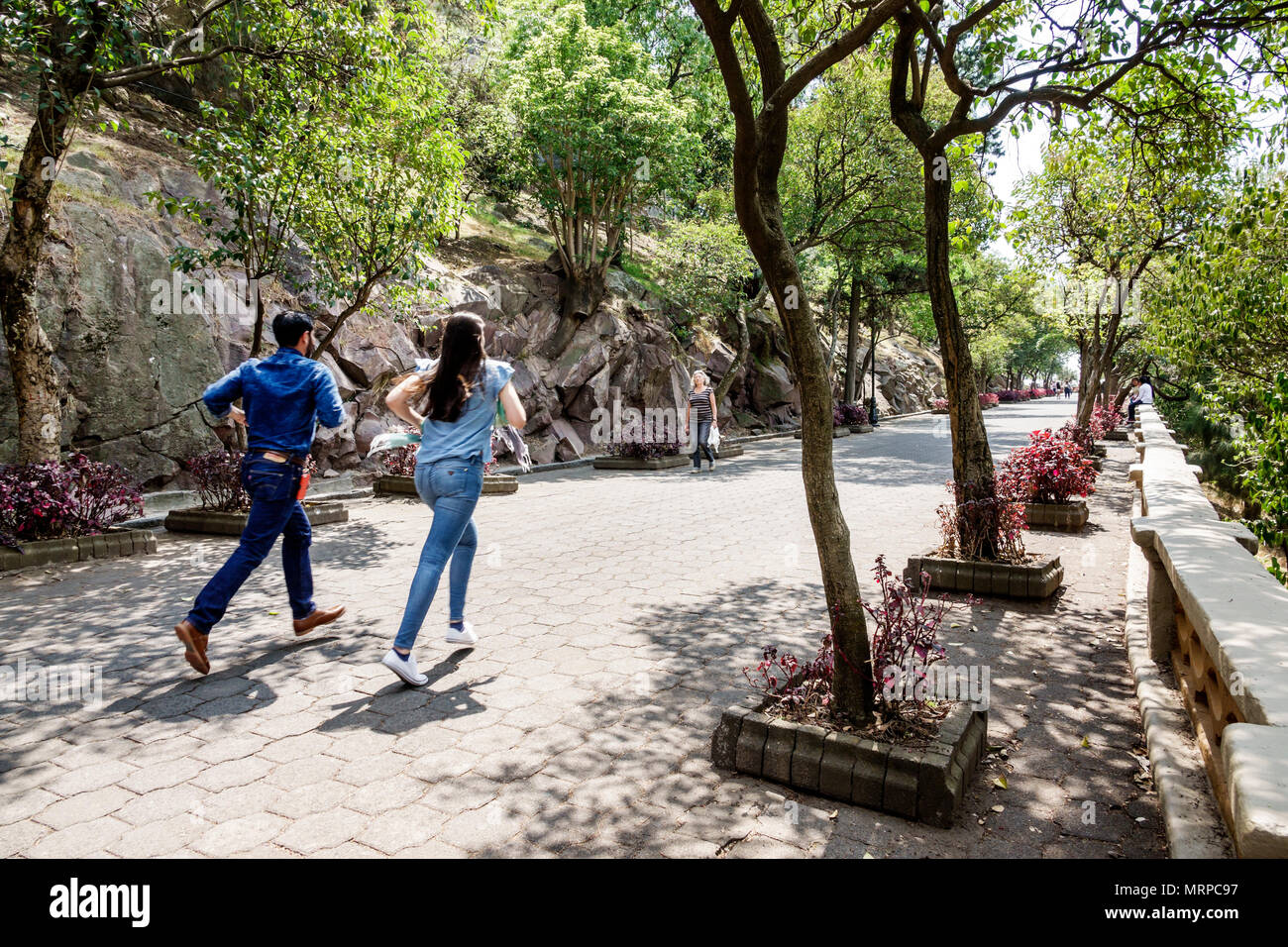 Mexico City,Polanco,Hispanic,immigrant immigrants,Mexican,Bosque de Chapultepec forest park parque,Castillo de Chapultepec ramp,walkway,man men male,w Stock Photo