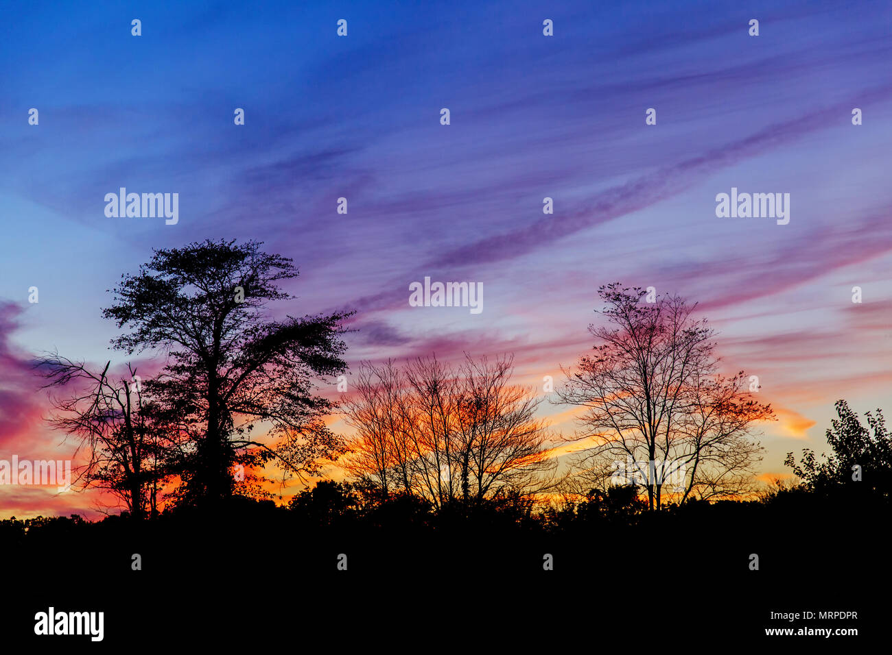 Sunset with sun rays pink sunset clouds sky sun Stock Photo - Alamy