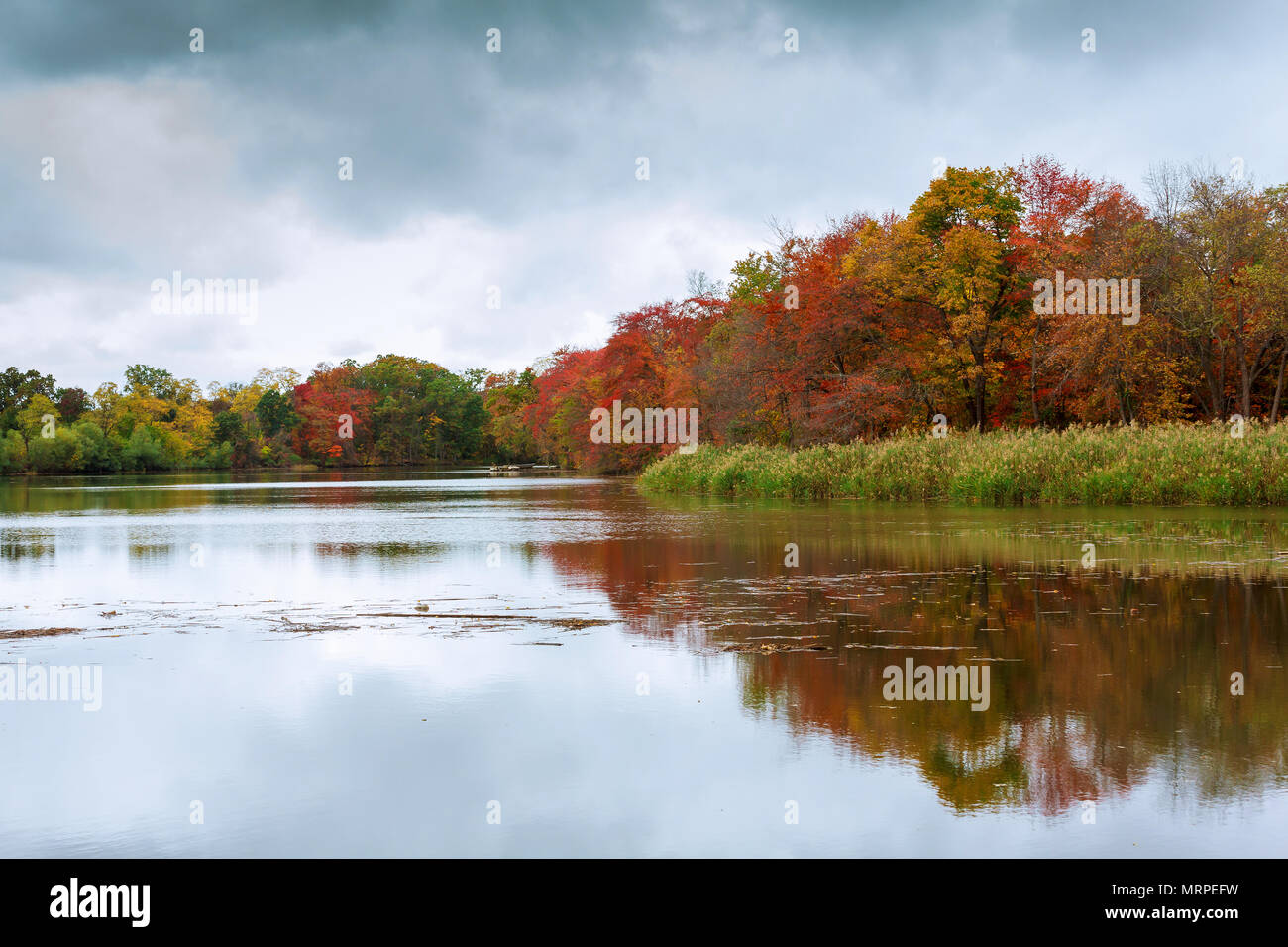 Colorful autumn trees on the lake Autumn forest river water Stock Photo ...