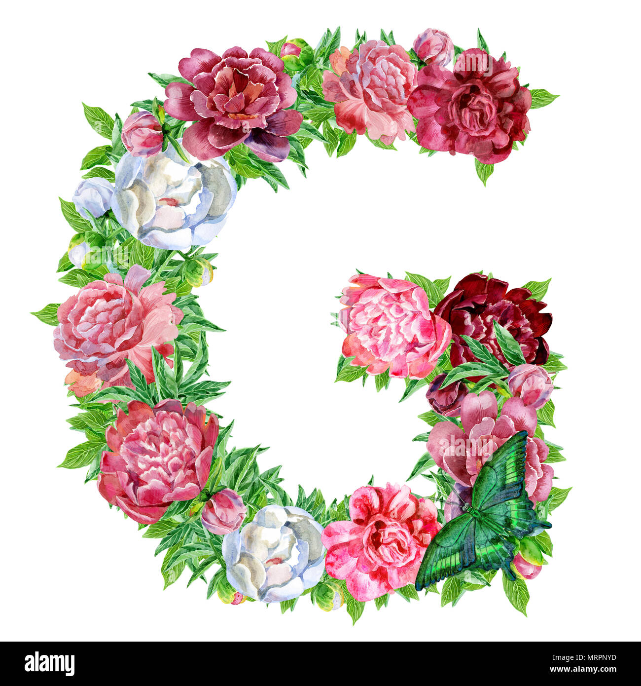 Letter G of watercolor flowers, isolated hand drawn on a white background, wedding design, english alphabet Stock Photo