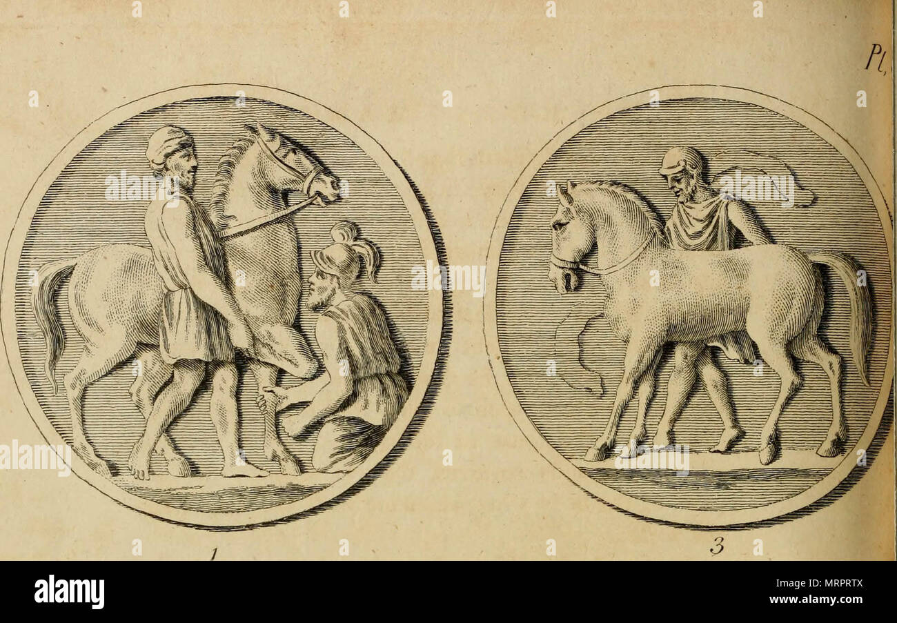 "The history and art of horsemanship" (1771 Stock Photo Alamy