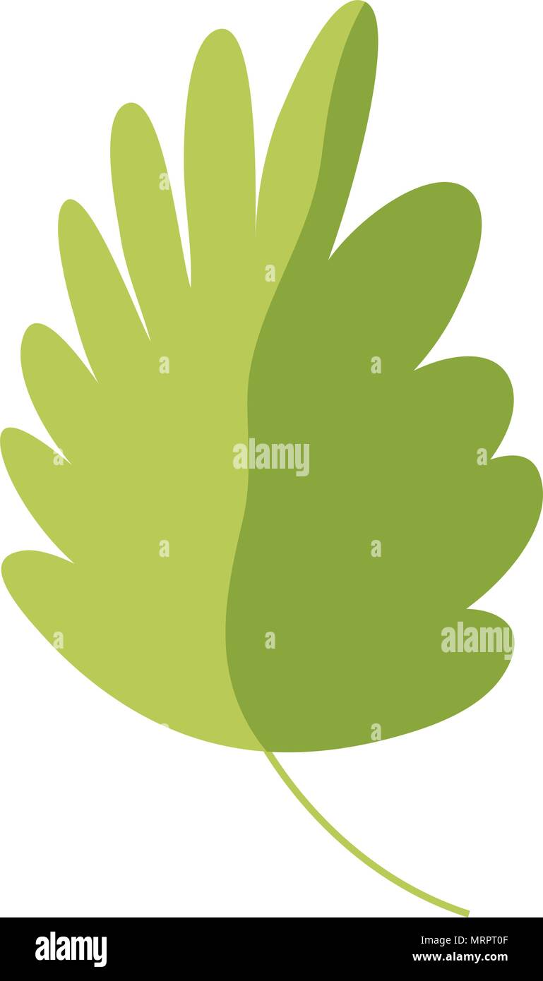 nature tropical leaf botanic plant Stock Vector Image & Art - Alamy