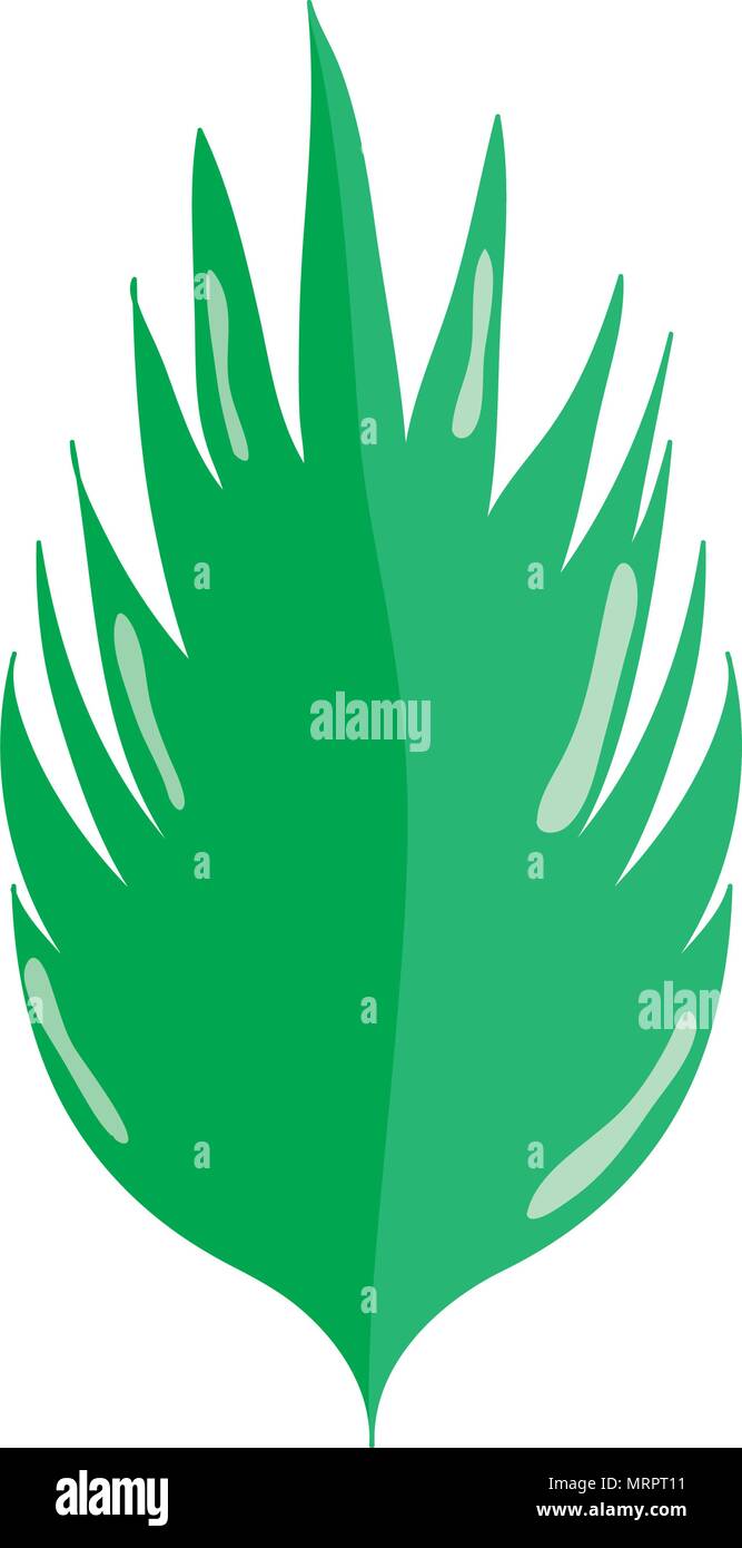 nature botanic leaf tropical plant Stock Vector Image & Art - Alamy