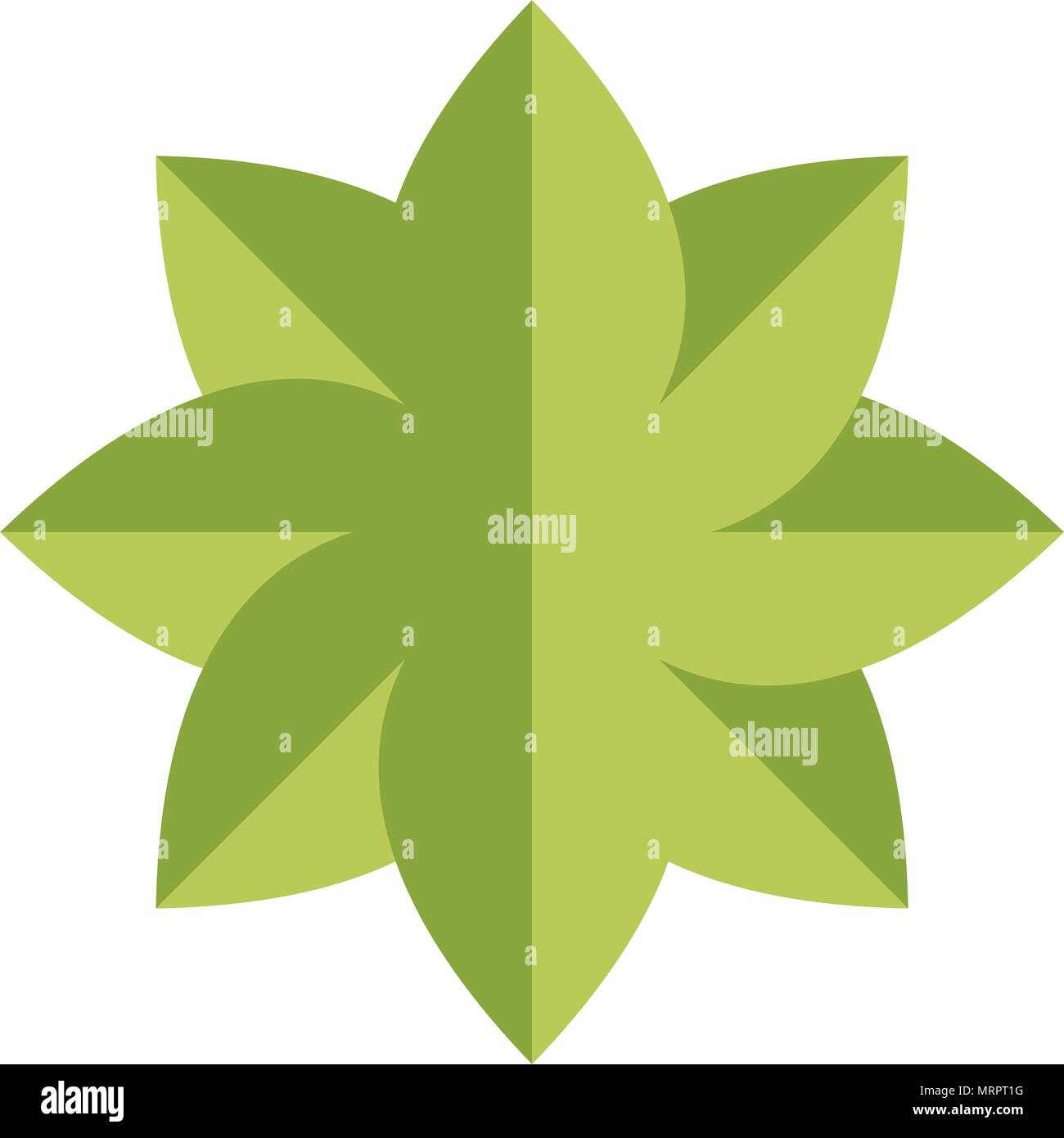 nature tropical leaves plants style Stock Vector Image & Art - Alamy