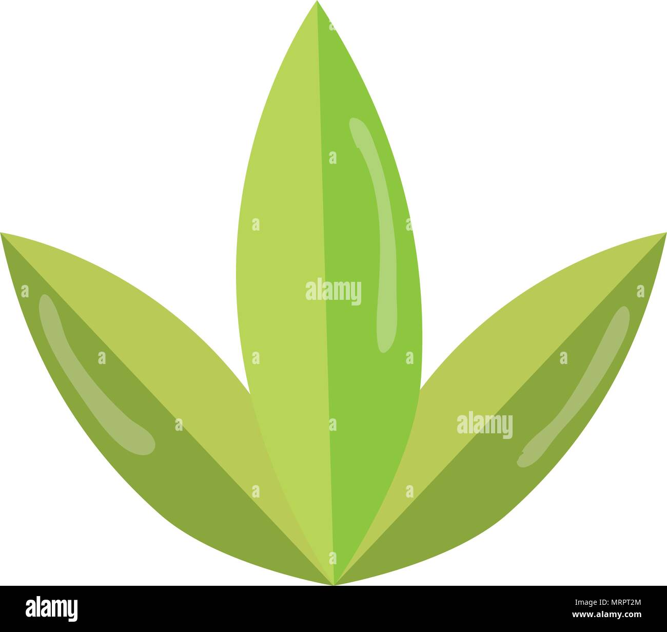 exotic leaves style botanic flora Stock Vector Image & Art - Alamy