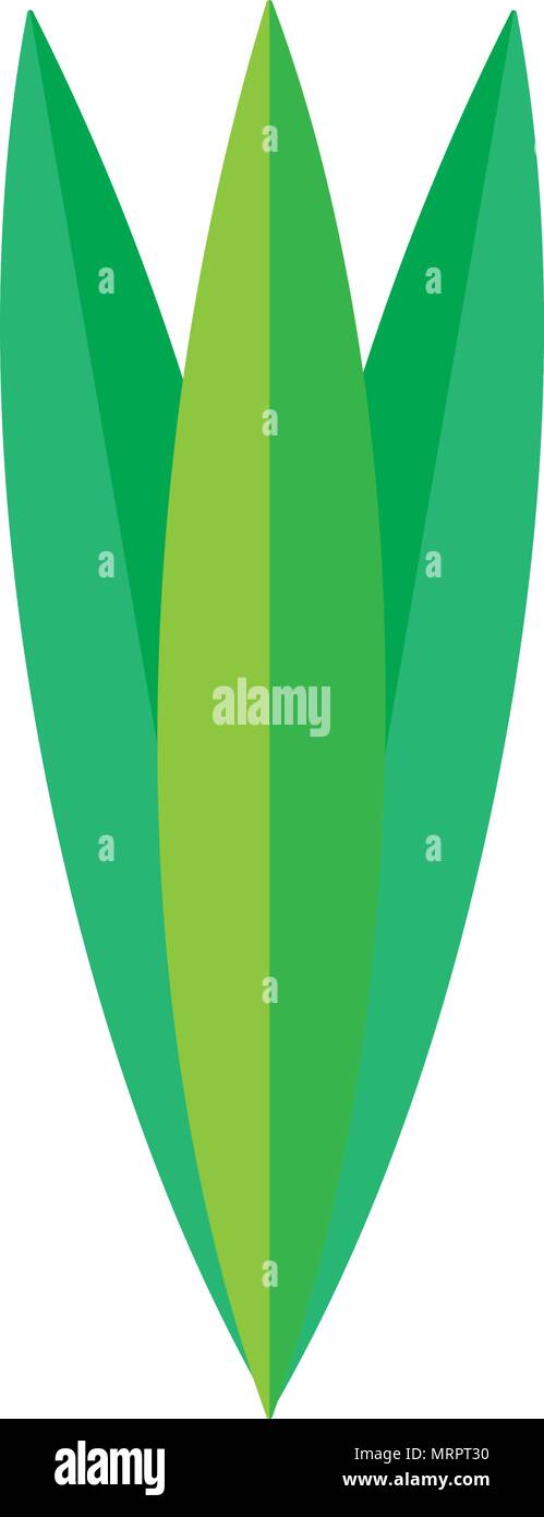 natural plants tropical leaves style Stock Vector Image & Art - Alamy