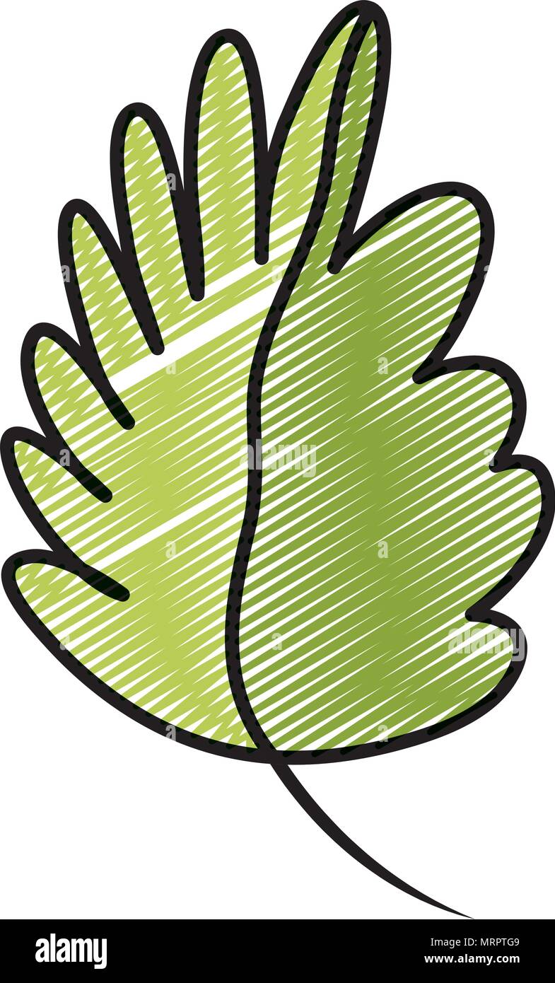 doodle nature tropical leaf botanic plant Stock Vector Image & Art - Alamy