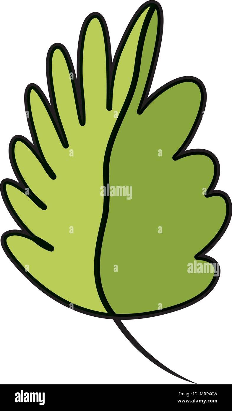 color nature tropical leaf botanic plant Stock Vector Image & Art - Alamy