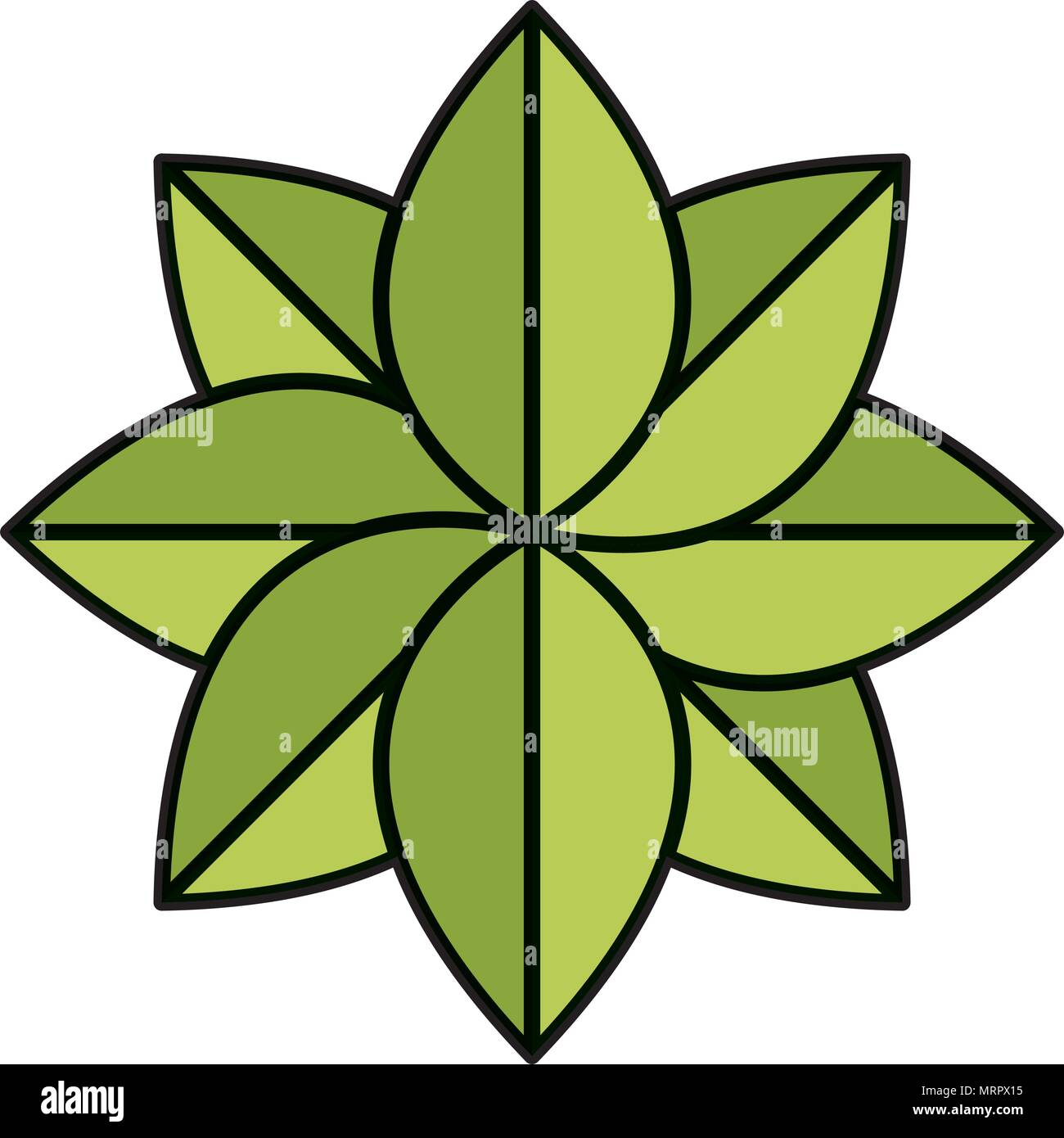 color nature tropical leaves plants style Stock Vector Image & Art - Alamy