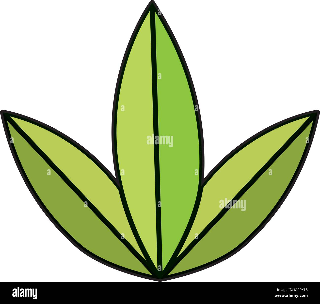 color exotic leaves style botanic flora Stock Vector Image & Art - Alamy