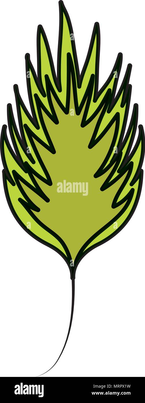 color tropical leaf natural exotic plant Stock Vector Image & Art - Alamy