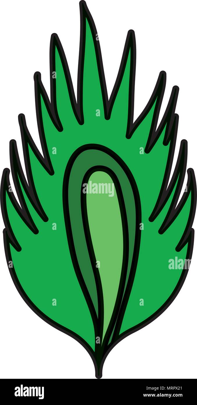 color tropical leaf botanic natural plant Stock Vector Image & Art - Alamy