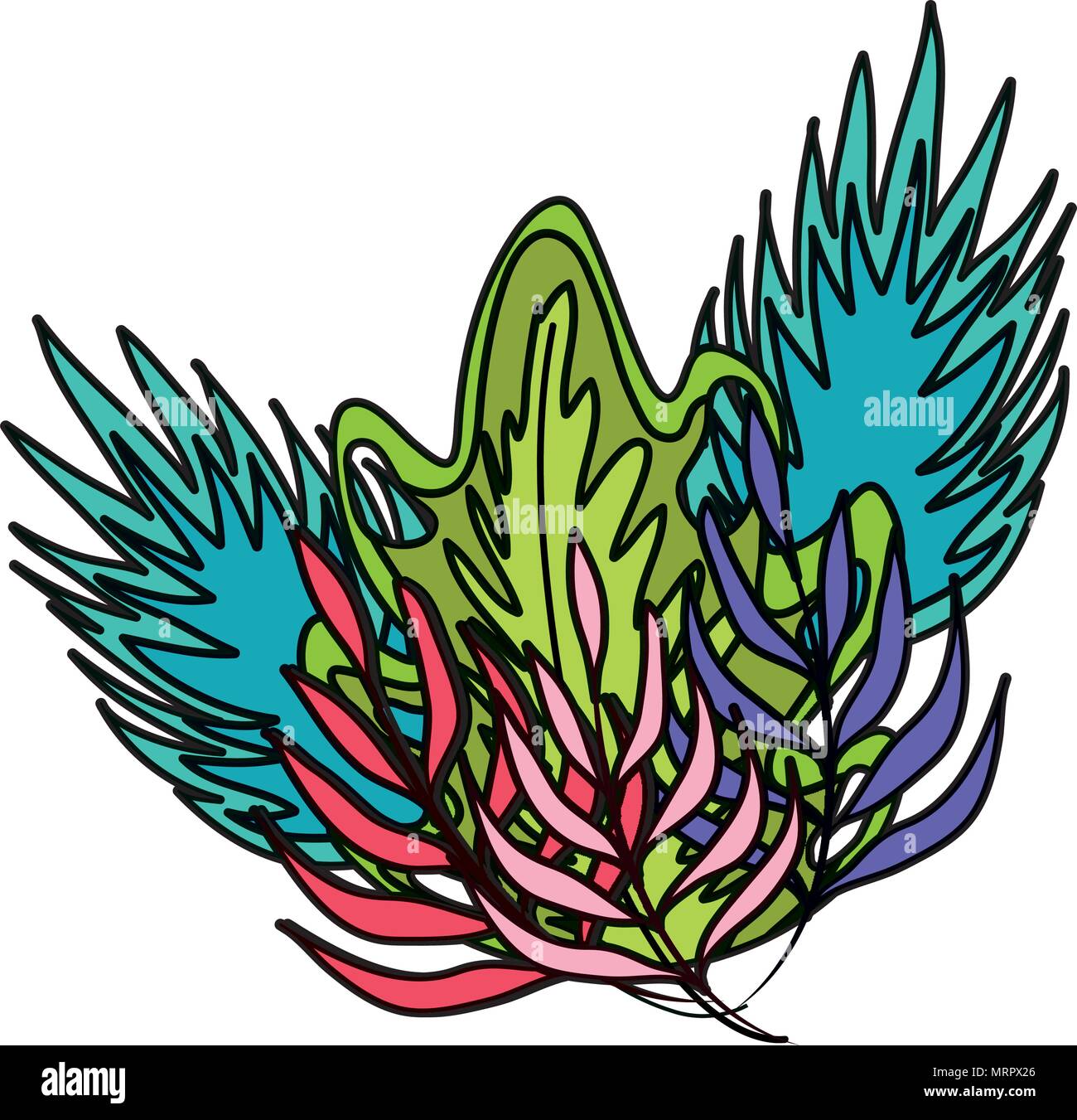 color tropical plants natural leaves style Stock Vector Image & Art - Alamy