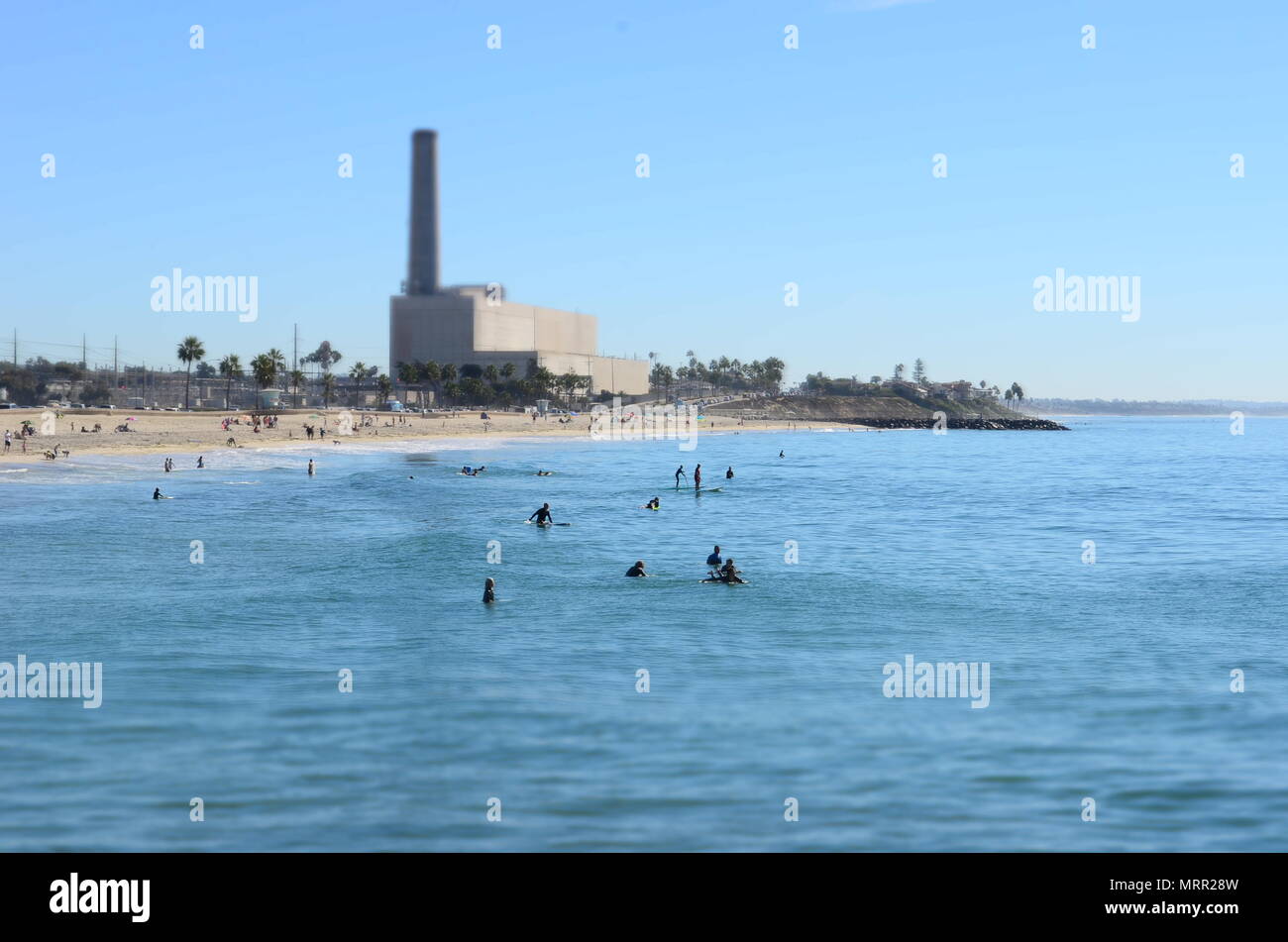 Carlsbad State Beach. plant in the background Stock Photo Alamy
