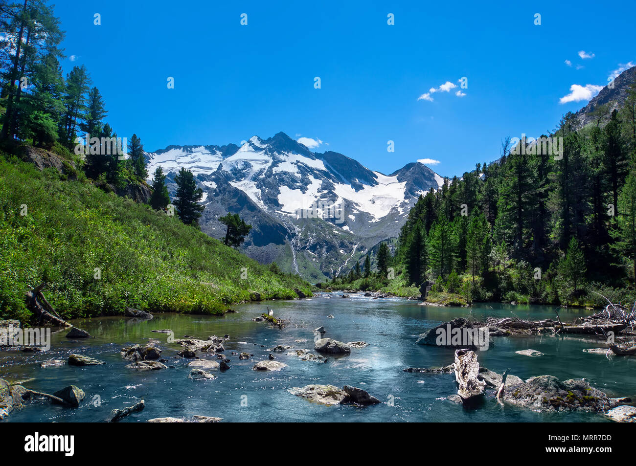 The beautiful natural landscape of the mountains in the Altai. Southern  Siberia, Russia. mountain river flowing in the background the snow-capped  peak Stock Photo - Alamy