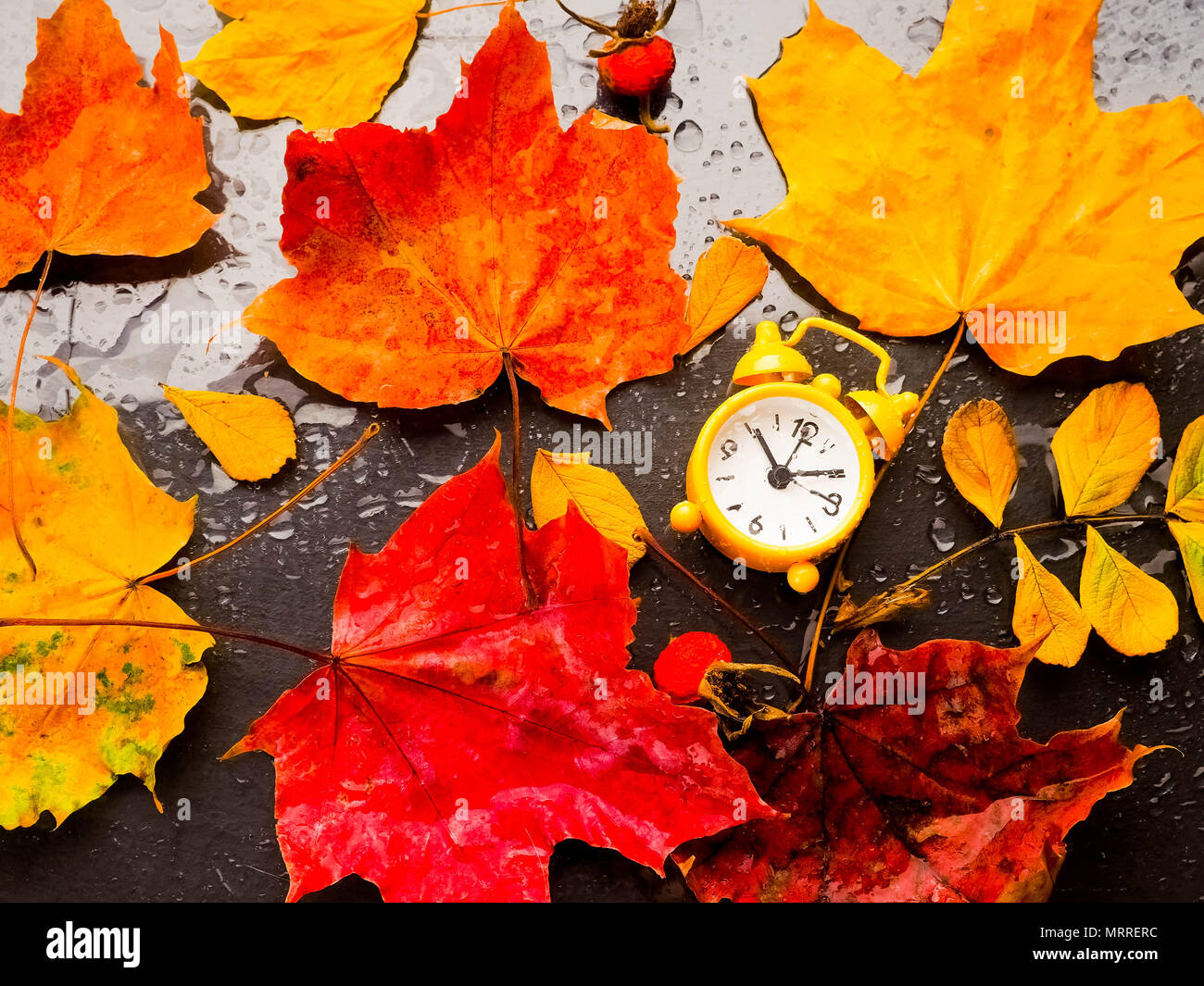 clock with leaves time change, Alarm clock in colorful autumn leaves