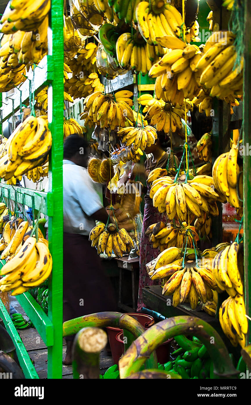 China Town, Yangon - Jan 21, 2017: A customer is selecting a bunch of banana at a store that only sell bananas of various kinds. Stock Photo