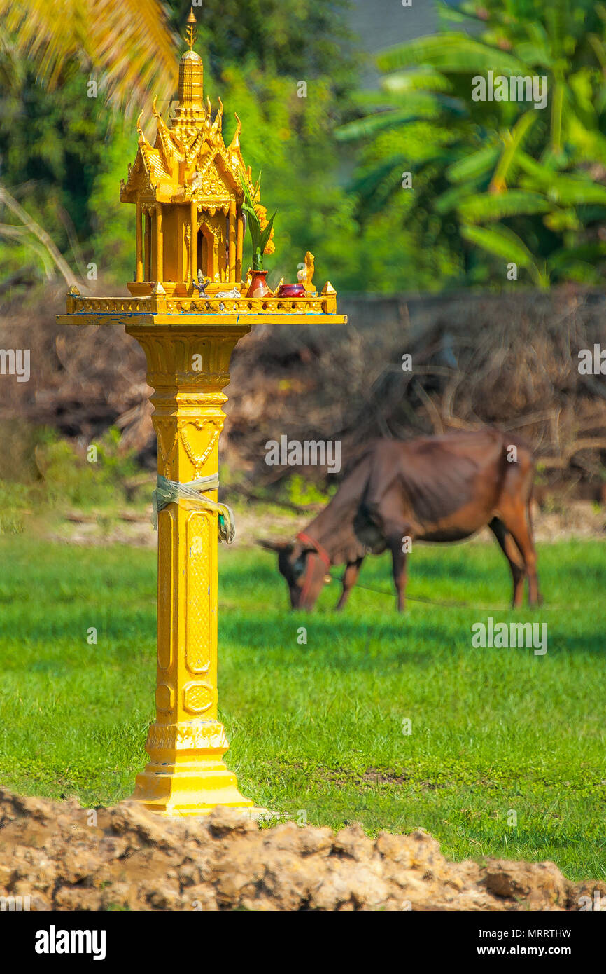 SPIRIT HOUSE GUARDING THE LAND. A skinny cow munches grass near a miniature house. The house is built for the guardian spirit to protect the land. Stock Photo