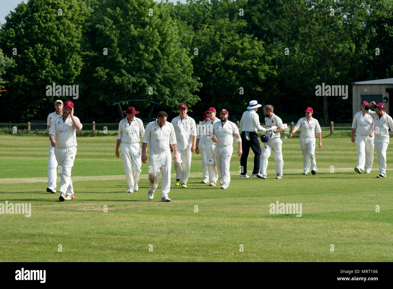 Village cricket at Wellesbourne, Warwickshire, England, UK. Players leaving the pitch after the match. Stock Photo